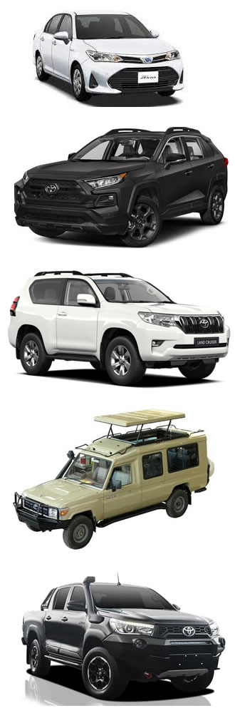 blog image car hire in kenya