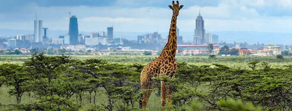 Nairobi 1 explore nairobi
