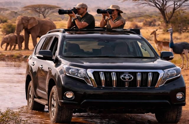 self-drive safari
