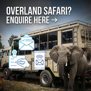 Overland Truck 1 overland truck